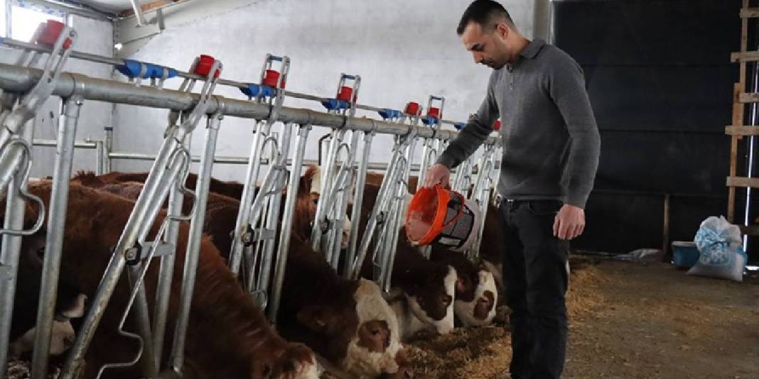 10 dönüm üzerine 15 milyonluk yatırımla işletmesini kurdu! 32 yaşında gelen başarı: Gelenekselden modern üretime geçti 2